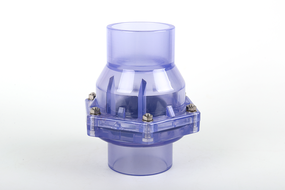 绥化透明翻板式止回阀